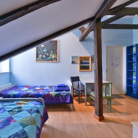 Central Hostel *